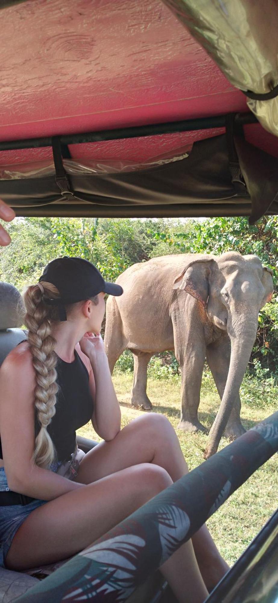 Share Safari House Udawalawe Bed & Breakfast Екстериор снимка